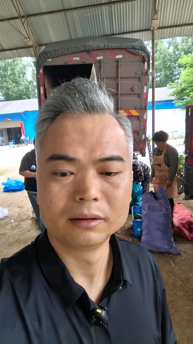 河南西华黄瓜产地直供整车可发支持视频看货