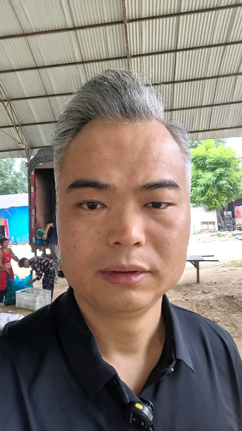 河南麒麟西瓜产地直批新鲜现摘脆甜多汁量大价优