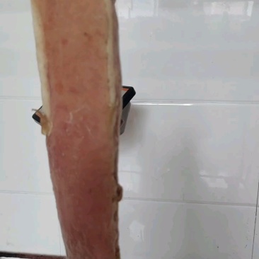 咸猪头大量供应品质保证支持视频看货欢迎下单品尝