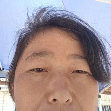 熟鱼马口鱼一手货源诚信合作量大从优欢迎来电咨询