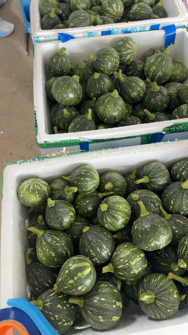 小南瓜，南瓜，产地看货，产地供应，非常漂亮，欢迎来电！