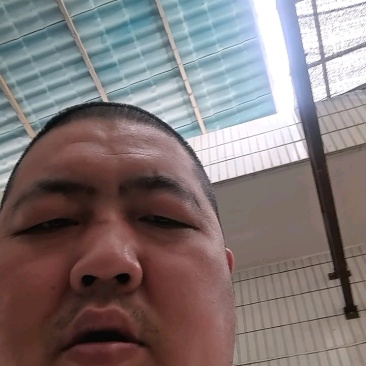 密刺黄瓜，当天现摘现发！密刺黄瓜，黄瓜中的战斗机
