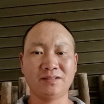 产地直发蜂糖李现货充足价优可谈