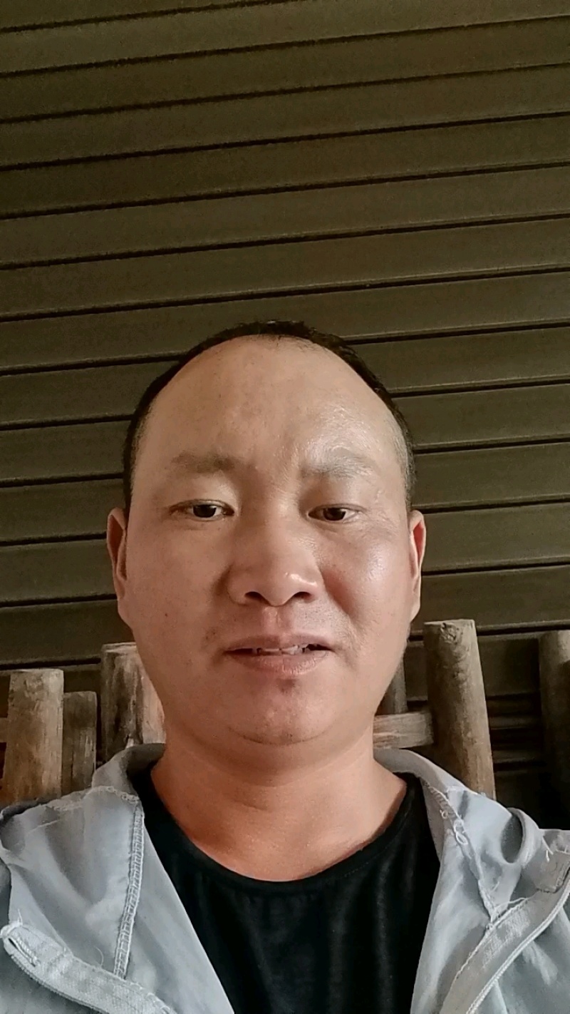 产地直发蜂糖李现货充足价优可谈