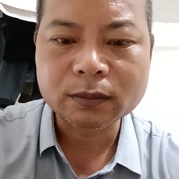 【推荐】中药材苗地苦胆金果榄苗欢老板资讯采购质量保证基地