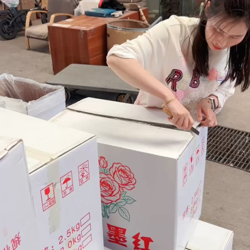 冻干墨攻云南冻干墨攻大量现货供应