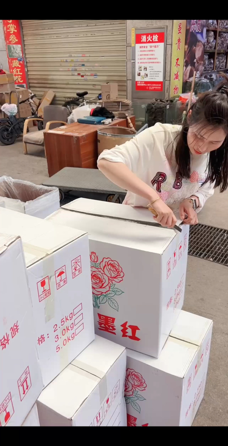 冻干墨攻云南冻干墨攻大量现货供应