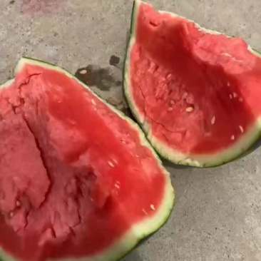 甜王西瓜，陕西甜王西瓜，无籽西瓜🍉，产地直发🍉