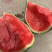 甜王西瓜，陕西甜王西瓜，无籽西瓜🍉，产地直发🍉