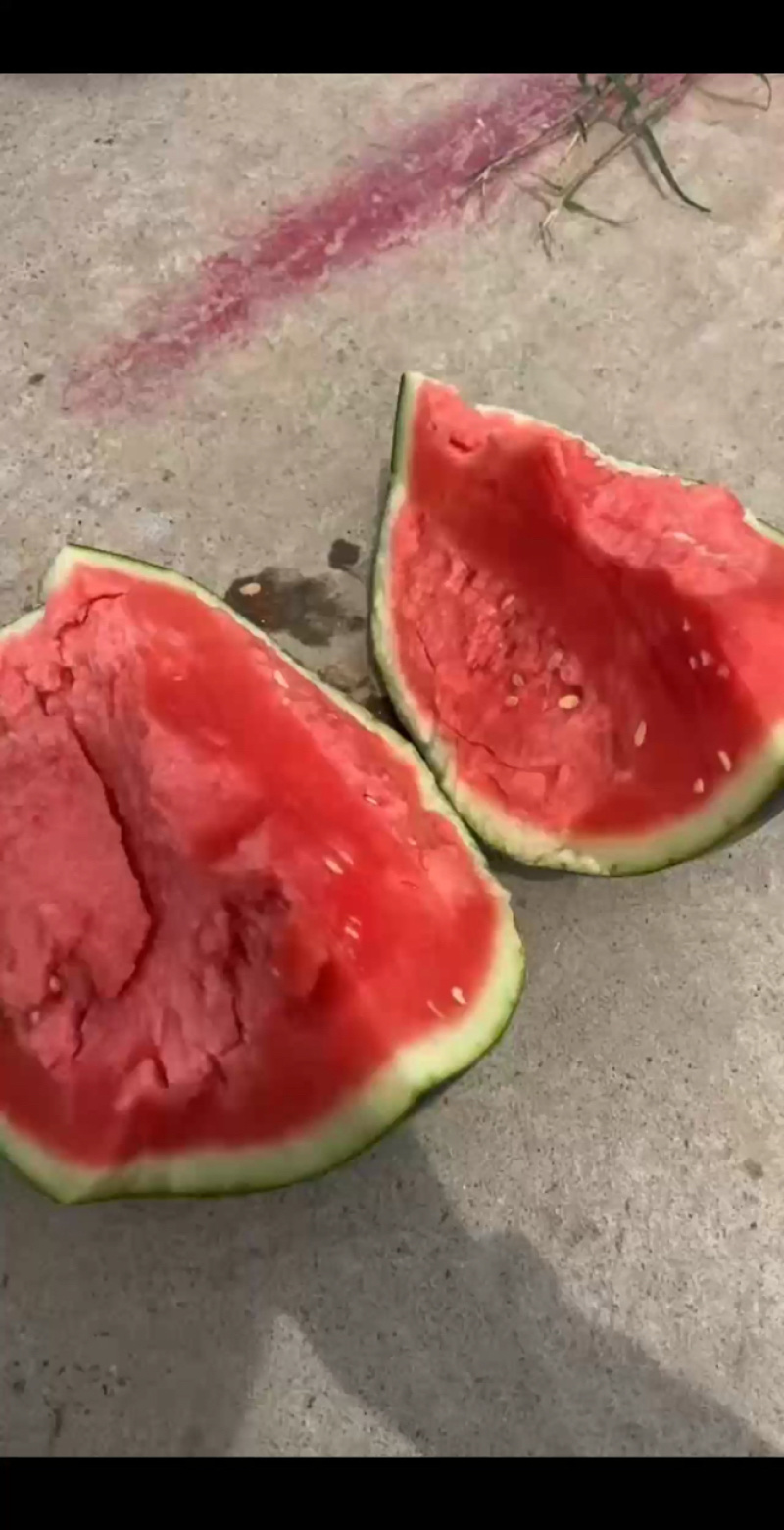 甜王西瓜，陕西甜王西瓜，无籽西瓜🍉，产地直发🍉