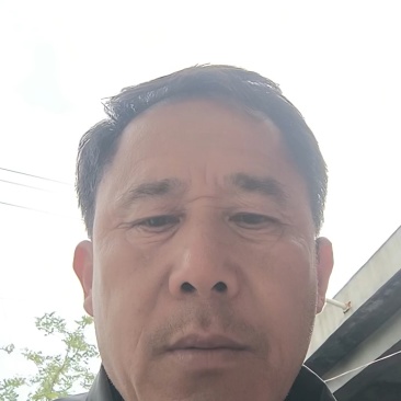 优质手工制作，精挑细选的人工沂蒙山区里的大冬桃桃仁