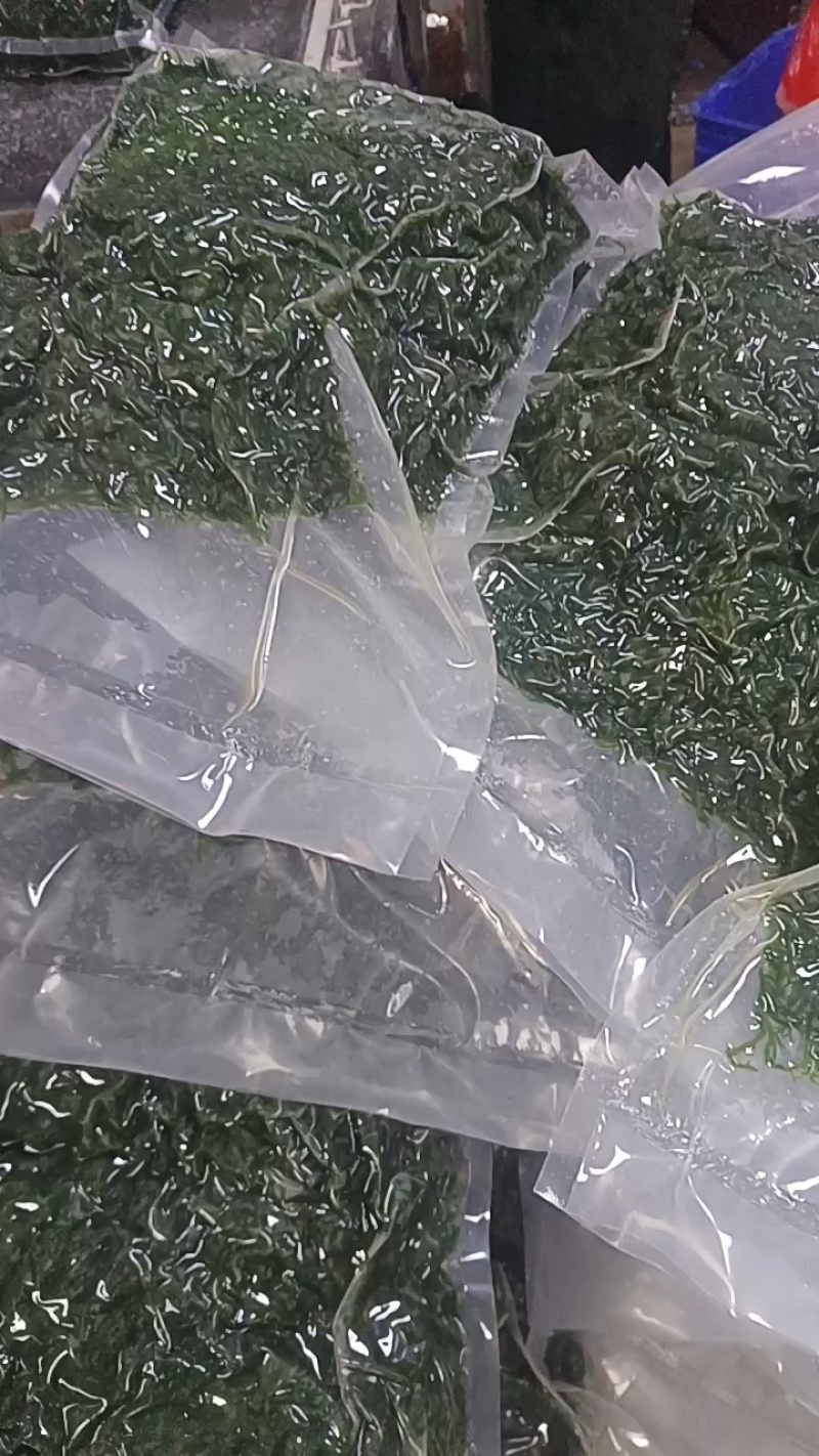 【推荐】福建精品龙须菜供应市场商超电商品质保证量大从优