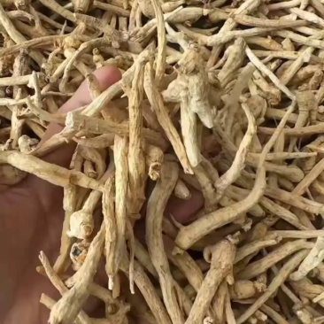 西洋参丁足干西洋参小条西洋参丁棒产地发货