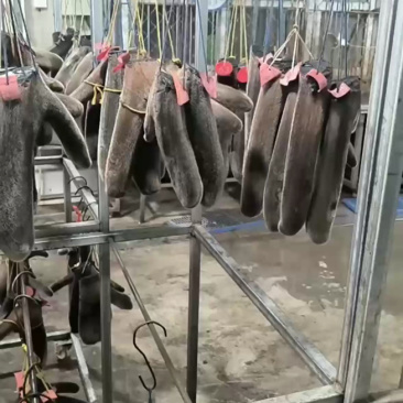 干鹿茸2025头茬鹿茸整支鹿茸足干鹿鞭鹿筋鹿肉产地直发