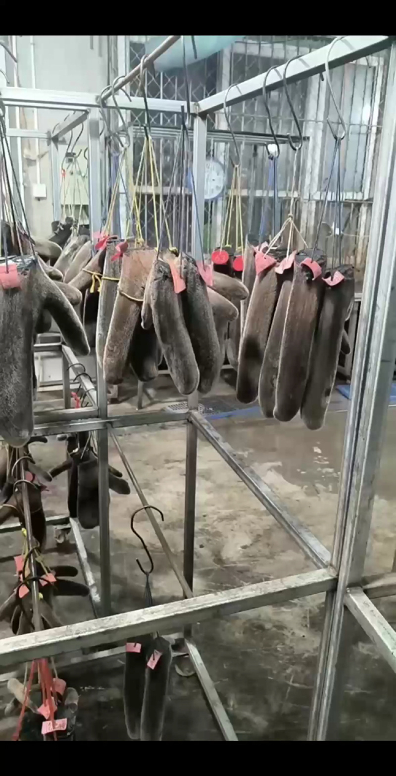 干鹿茸2025头茬鹿茸整支鹿茸足干鹿鞭鹿筋鹿肉产地直发