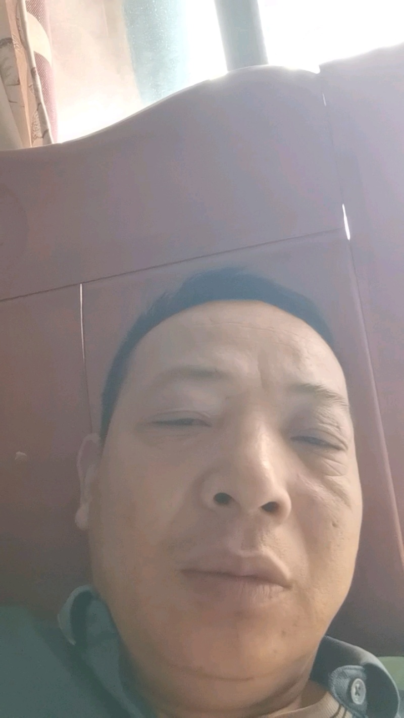 玫瑰花高原红，各种昆明的鲜花