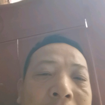 见手青