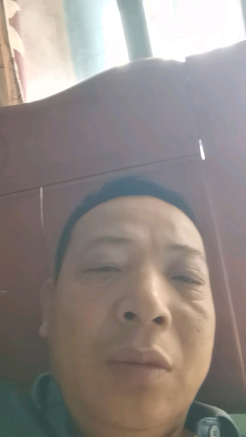 见手青