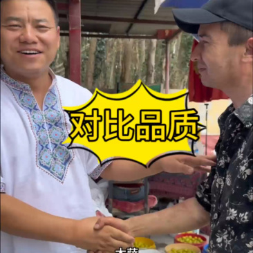 新疆小白杏轮台小白杏现摘现发批发落地配一件代发空运包邮