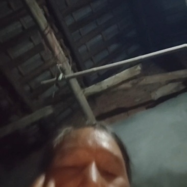 蒲江黄心猕猴桃大量上市价格美丽好吃不贵产地直发可视频看货