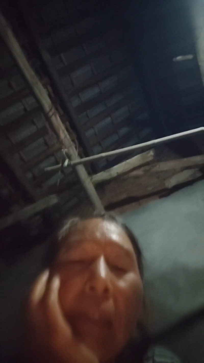 蒲江黄心猕猴桃大量上市价格美丽好吃不贵产地直发可视频看货
