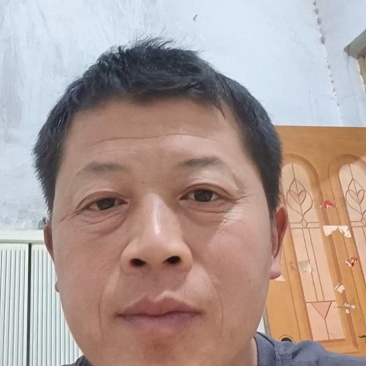灵芝菌棒