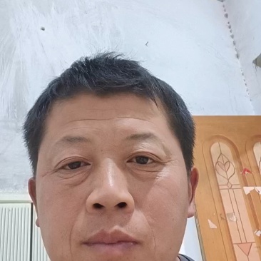 灵芝菌棒菌棒出灵芝多及加工各种规格的菌棒