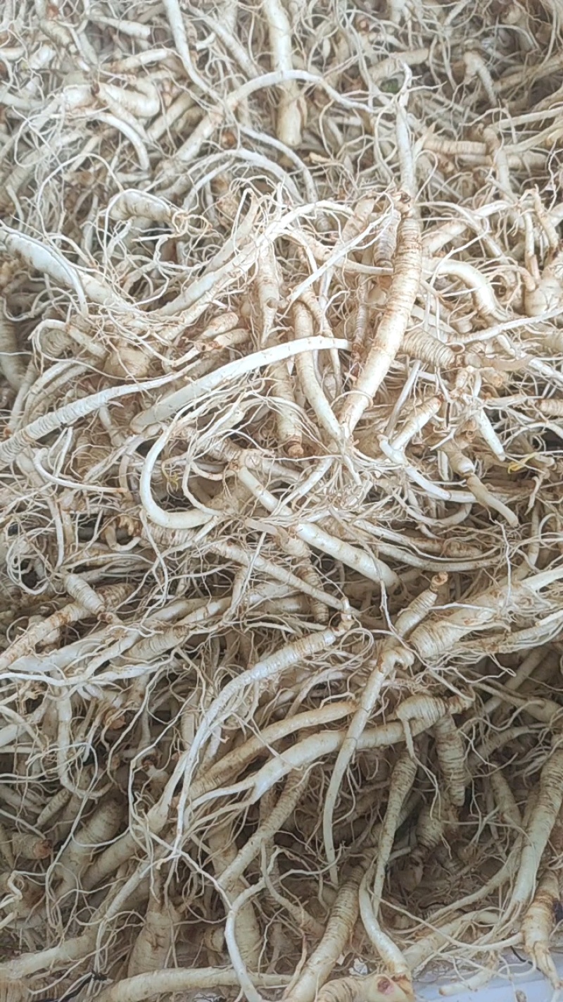 长白山西洋参支持线上保障交易，大中小各种规格