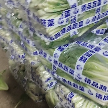 安徽黑叶白基地直供量大优惠品质保障
