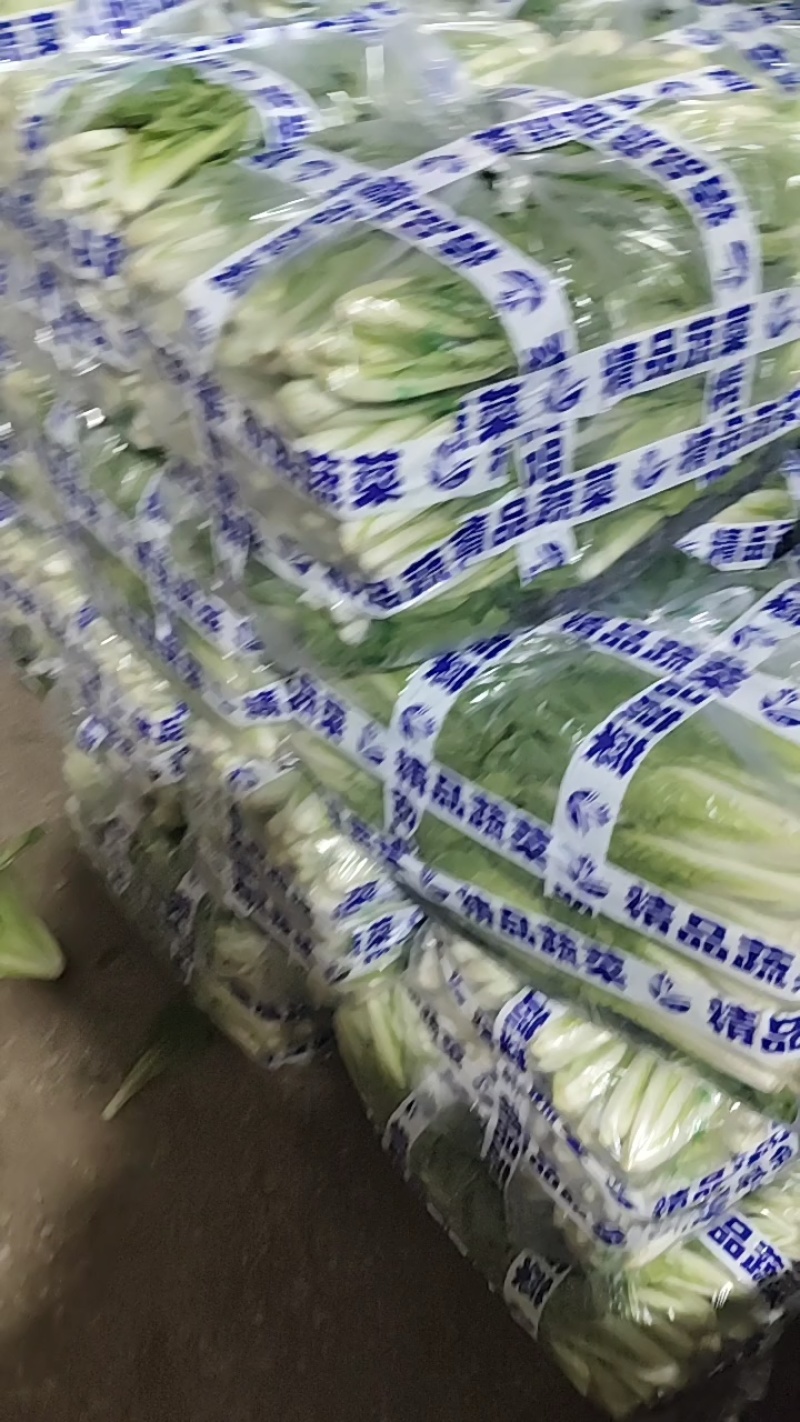 安徽黑叶白基地直供量大优惠品质保障
