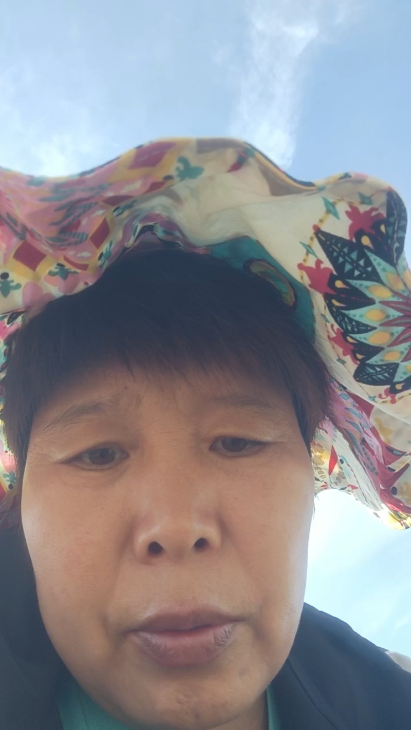 内蒙赤峰药材基地北沙参干货大量现货规格齐全产地直发