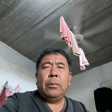 聊城蜜露流星甜瓜，梦露甜瓜大量上市，量大从优，产地直供