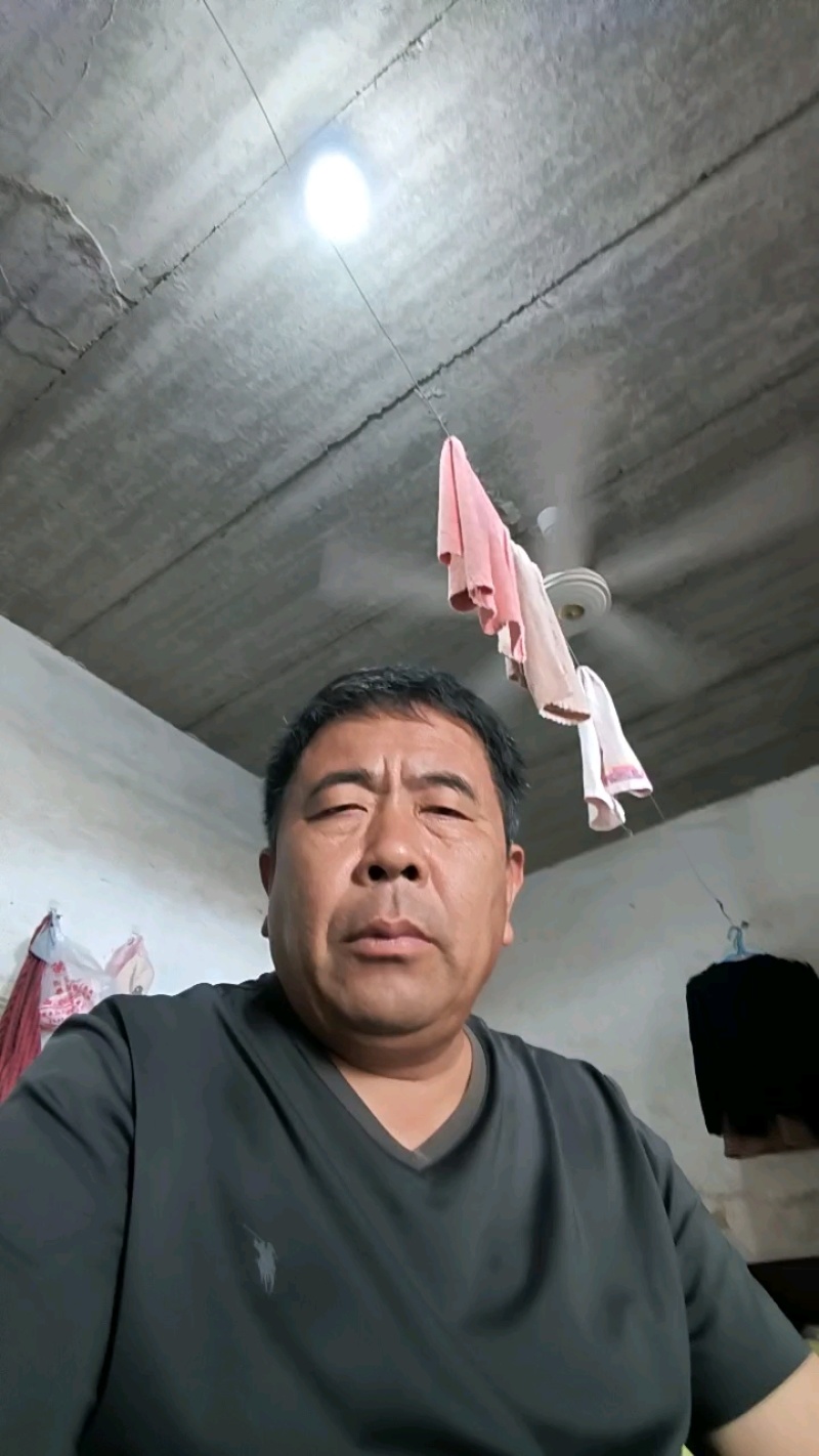 聊城蜜露流星甜瓜，梦露甜瓜大量上市，量大从优，产地直供