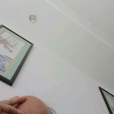 大量供应羽衣甘蓝欢迎各位老板合作采购
