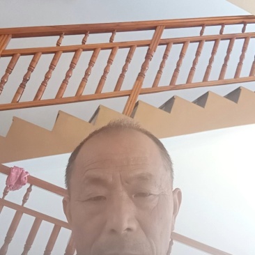 蔓荆子