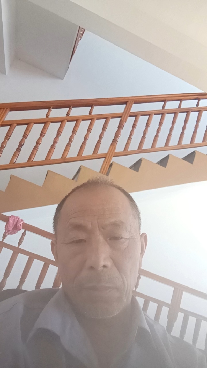 蔓荆子