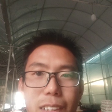 小千禧,贝贝,小番茄圣女果,玲珑番茄大量供应