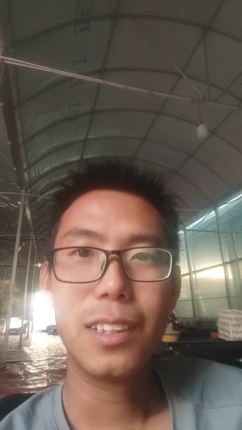 小千禧，贝贝，小番茄圣女果，玲珑番茄大量供应