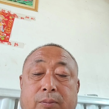 山东冠县万亩大亩大棚油桃上市了，油桃基地价格