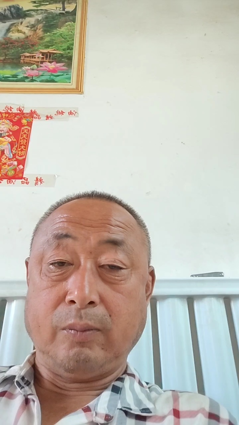 山东聊城占地桃树果树基地，价格低，绿化苗木大量现货