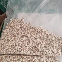 贵州薏仁米，有全国薏仁米之乡称号