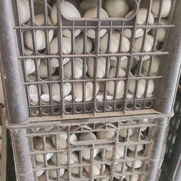 徐州特产，旅游礼品，，松花皮蛋，真空咸鸭蛋，次品皮蛋