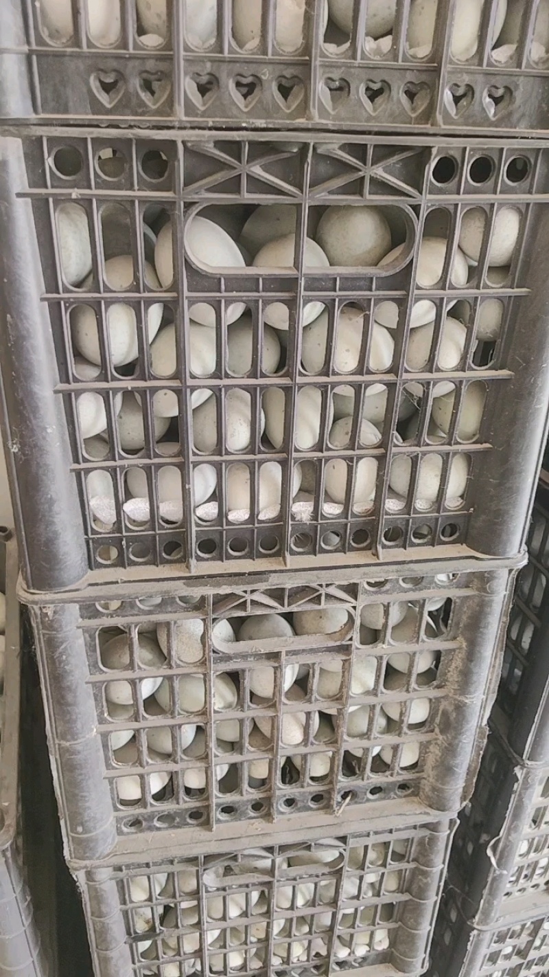 徐州特产，旅游礼品，，松花皮蛋，真空咸鸭蛋，次品皮蛋