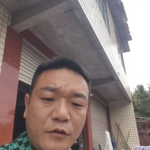 五月脆李子大量供应，产地直发，一手货源，支持一件代发