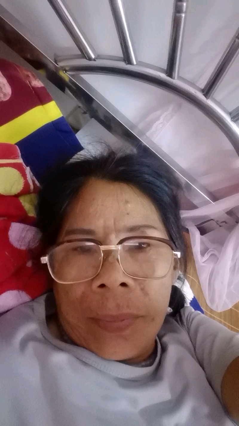 精品黄皮果广州增城现摘现发自然成熟***