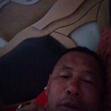 良种大约克长白杜洛克苗猪仔猪生猪种母猪供应