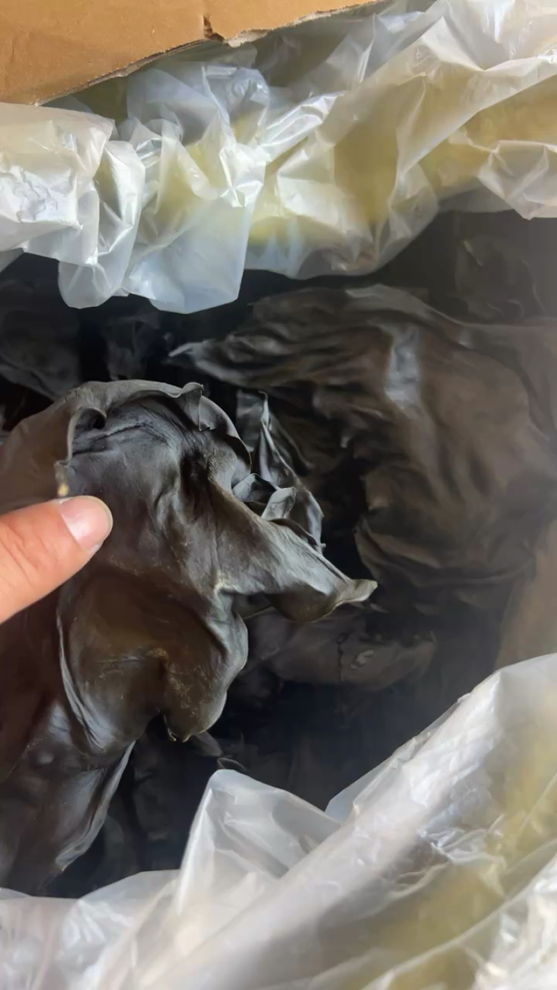 荣成特产10成干烘干海带头13～15倍泡发率巨厚