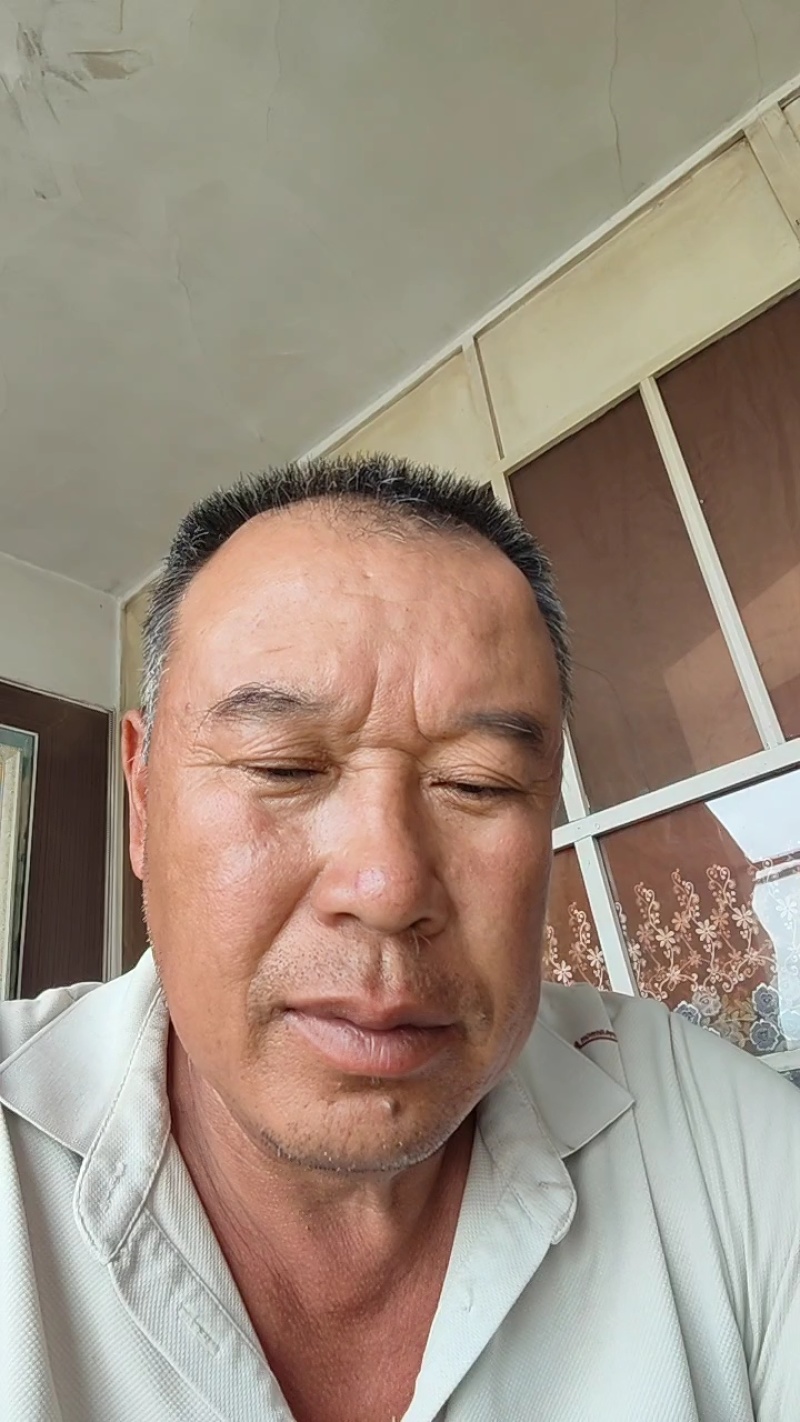 紫皮洋葱，保质保量，量大价优，产地直发，欢迎咨询
