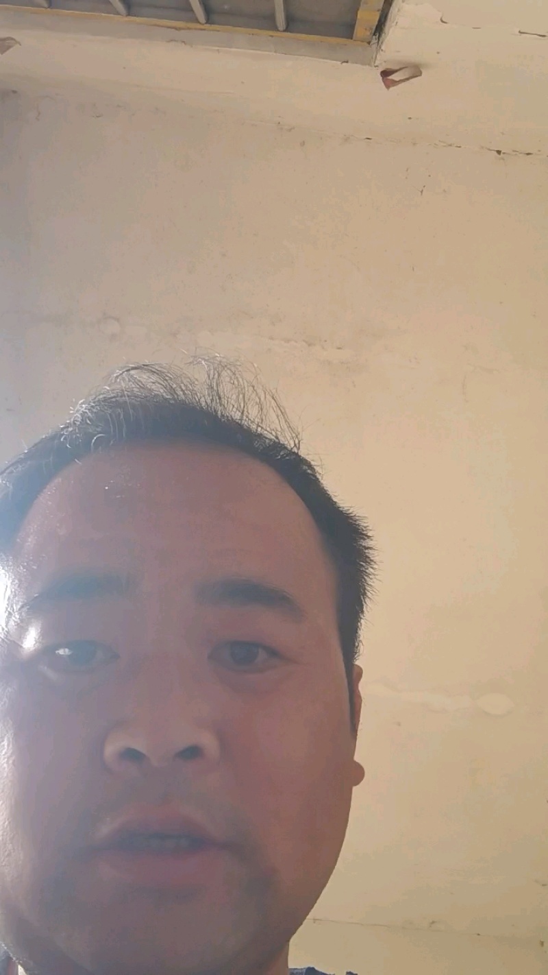 钉螺鲜活新鲜去尾螺丝尖螺冷冻长尾螺海锥烧烤食材海鲜批