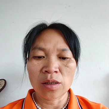 【热卖中】野生鬼针草根现采新鲜鬼针草可批发可零售量大从优